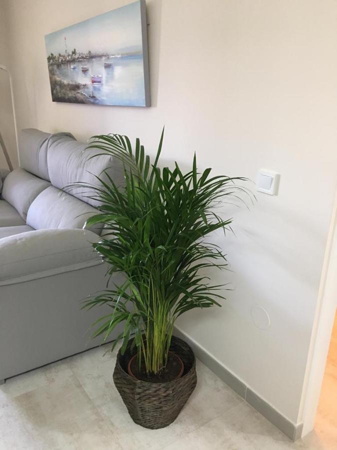 Luxury Apartamento Minerva Jupiter 베날마데나코스타 외부 사진